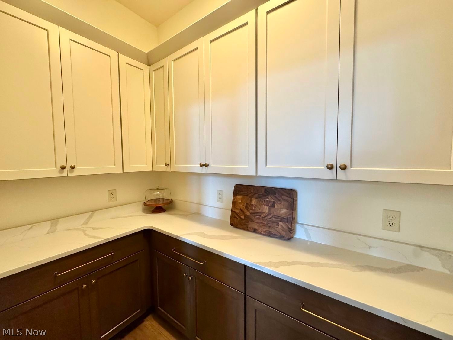 Hidden-Pantry